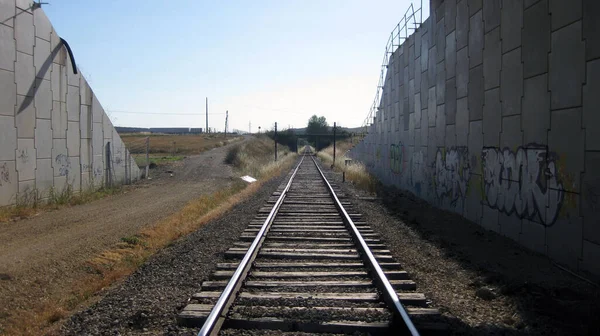 畑を通る列車の線路 — ストック写真