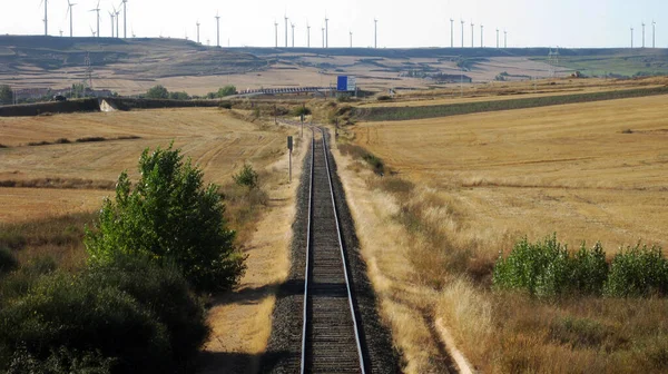 Treno Tracce Attraverso Campi Coltivati — Foto Stock