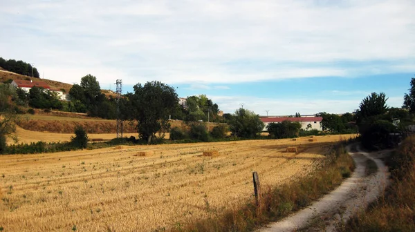 Paysages Champs Cultivés Montagnes — Photo