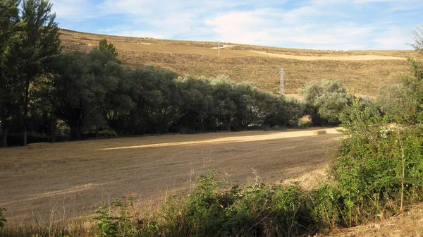 Paisajes Campos Cultivados Montañas — Foto de Stock