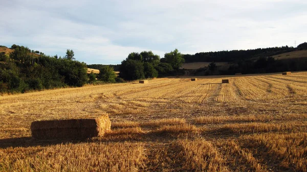 Paisagens Campos Cultivados Montanhas — Fotografia de Stock