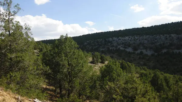 Montañas Piedra Caliza Día Soleado — Foto de Stock