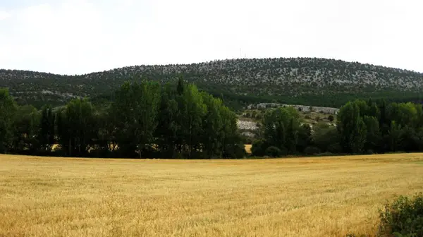 スペインの牧草地と山岳風景 — ストック写真