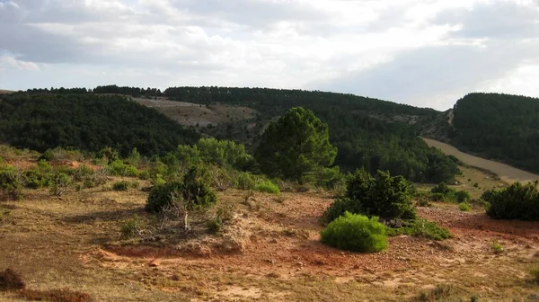 スペインの牧草地と山岳風景 — ストック写真