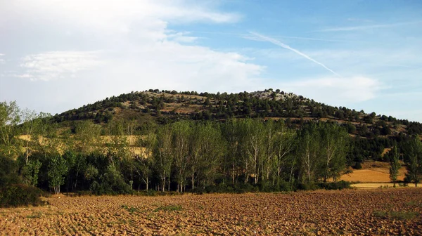 スペインの牧草地と山岳風景 — ストック写真