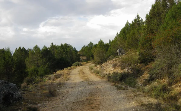 Vägar Och Stigar Som Går Genom Bergslandskap — Stockfoto