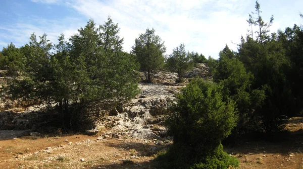 スペインの牧草地と山岳風景 — ストック写真