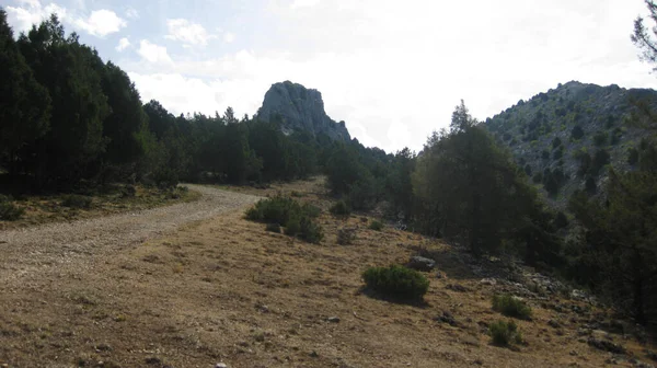 Berglandschaften Mit Wiesen Spaniens — Stockfoto