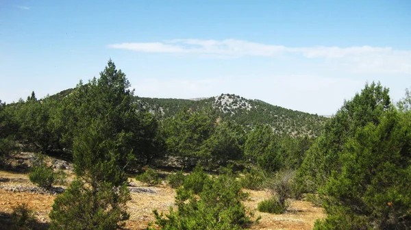 Berglandschaften Mit Wiesen Spaniens — Stockfoto