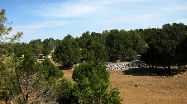 西班牙有草甸的高山景观 — 图库照片