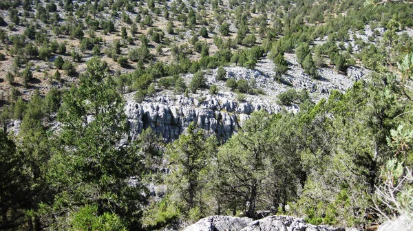 Paisajes Montañosos Con Prados España —  Fotos de Stock