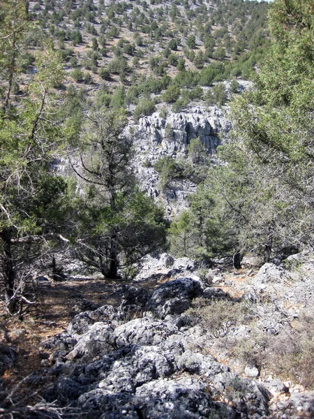 スペインの牧草地と山岳風景 — ストック写真