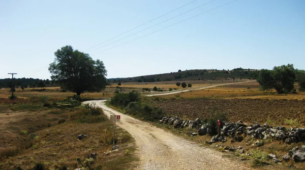 Strade Sentieri Che Attraversano Paesaggi Montani — Foto Stock