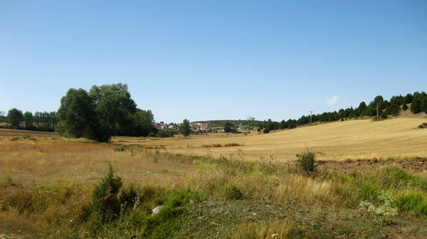 Mountainous Landscapes Meadows Spain — Stock Photo, Image