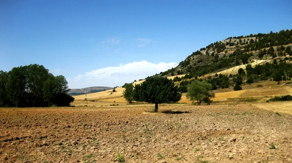 Horská Krajina Loukami Španělska — Stock fotografie