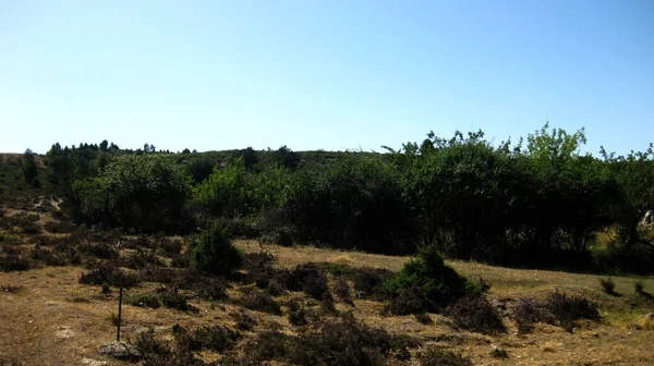 Paysages Montagneux Avec Prairies Espagne — Photo