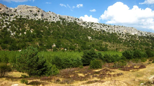 Paisagens Montanhosas Com Prados Espanha — Fotografia de Stock