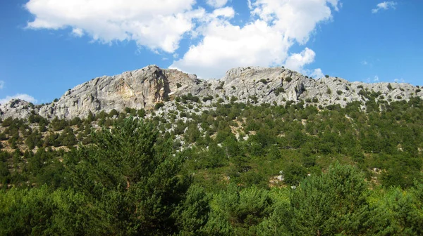 Krajobrazy Górskie Łąkami Hiszpanii — Zdjęcie stockowe