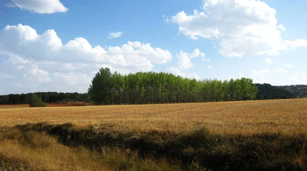 Paysages Montagneux Avec Prairies Espagne — Photo