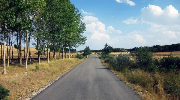 Strade Sentieri Che Attraversano Paesaggi Montani — Foto Stock