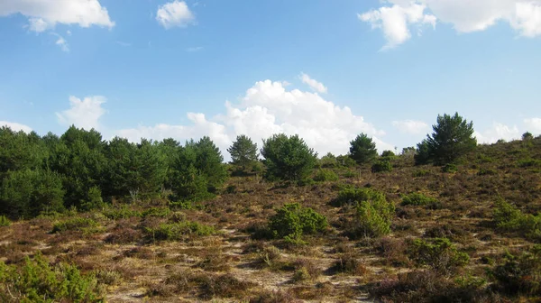 スペインの牧草地と山岳風景 — ストック写真