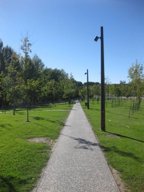 Parkta bisiklet yolu.