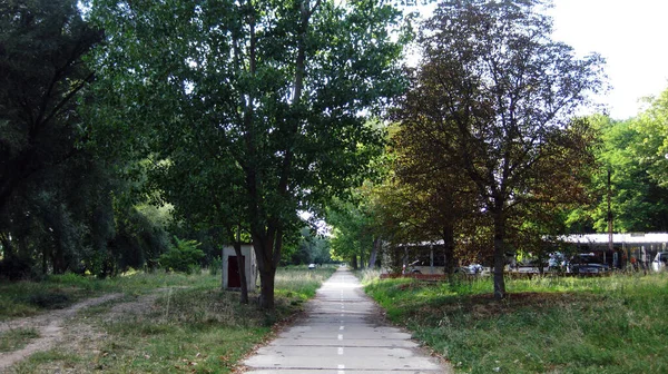 Caminos Por Bosque — Foto de Stock