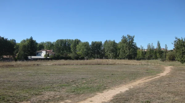 Passeggiate Alberi Giardini — Foto Stock