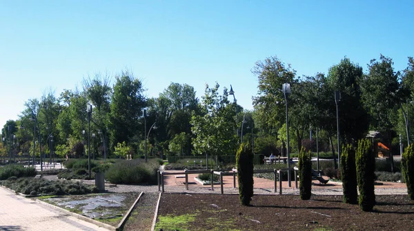 Parque Botânico Livre — Fotografia de Stock