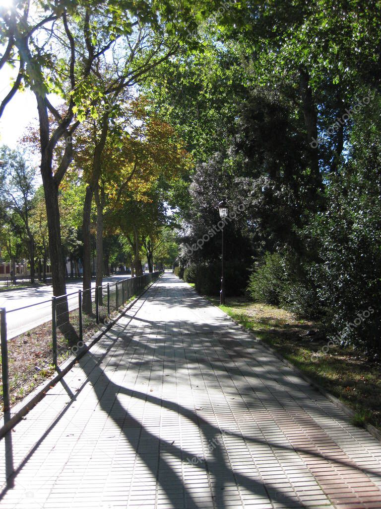 Walks and parks of a botanical garden.