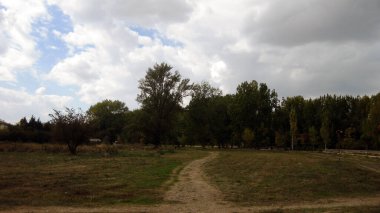 Sonbahar ormanları ve manzaraları.