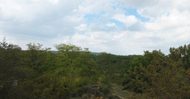 Sonbahar ormanları ve manzaraları.