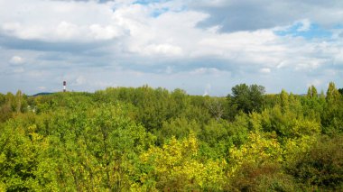 Sonbahar ormanları ve manzaraları.
