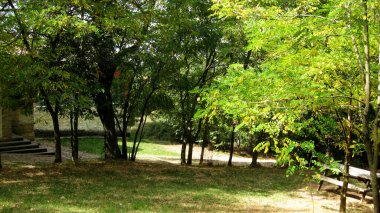 Sonbahar ormanları ve manzaraları.