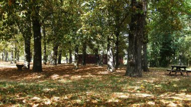 Sonbahar ormanları ve manzaraları.