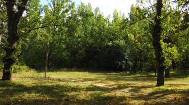 Sonbahar ormanları ve manzaraları.