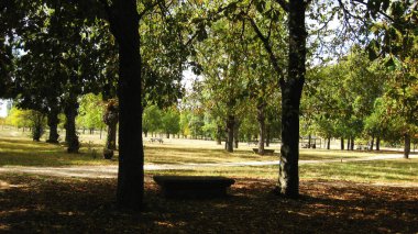 Sonbahar ormanları ve manzaraları.