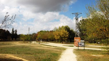 Sonbahar ormanları ve manzaraları.