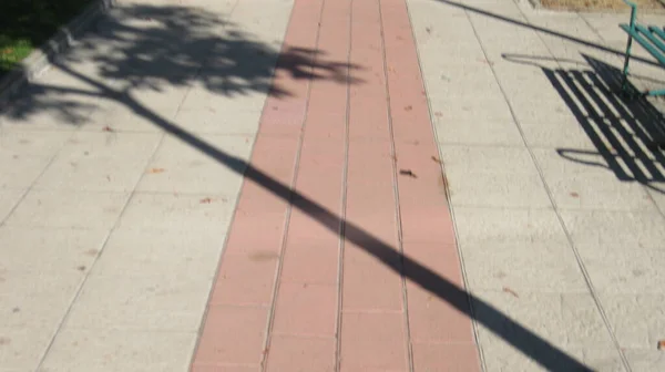 Caminho Calçada Com Sombras — Fotografia de Stock