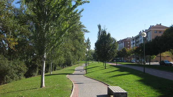 Paden Een Park Naast Een Rivier — Stockfoto