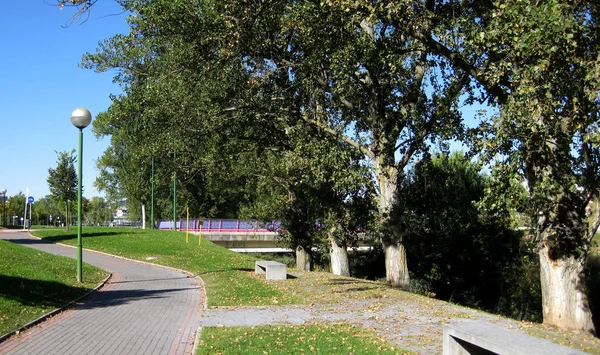 Sentiers Dans Parc Côté Une Rivière — Photo