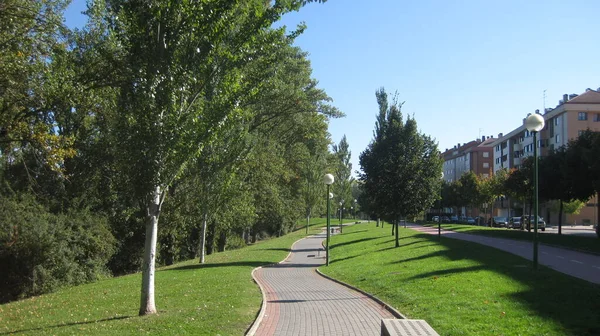 Paden Een Park Naast Een Rivier — Stockfoto