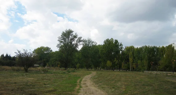 Höstskogar Och Landskap — Stockfoto