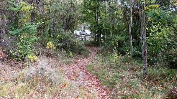 Herbstwälder Und Landschaften — Stockfoto