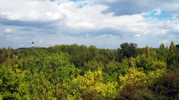 Herbstwälder Und Landschaften — Stockfoto