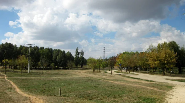 Őszi Erdők Tájak — Stock Fotó