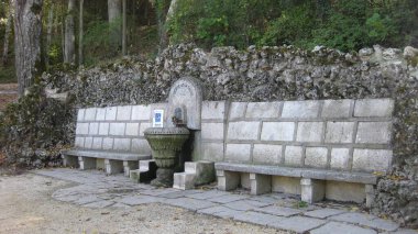 Ormandaki eski çeşmeler.