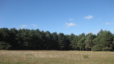 Sonbaharda tarım alanları.