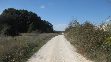 Sonbahar manzarası boyunca yollar.