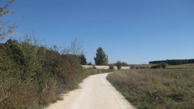 Sonbahar manzarası boyunca yollar.